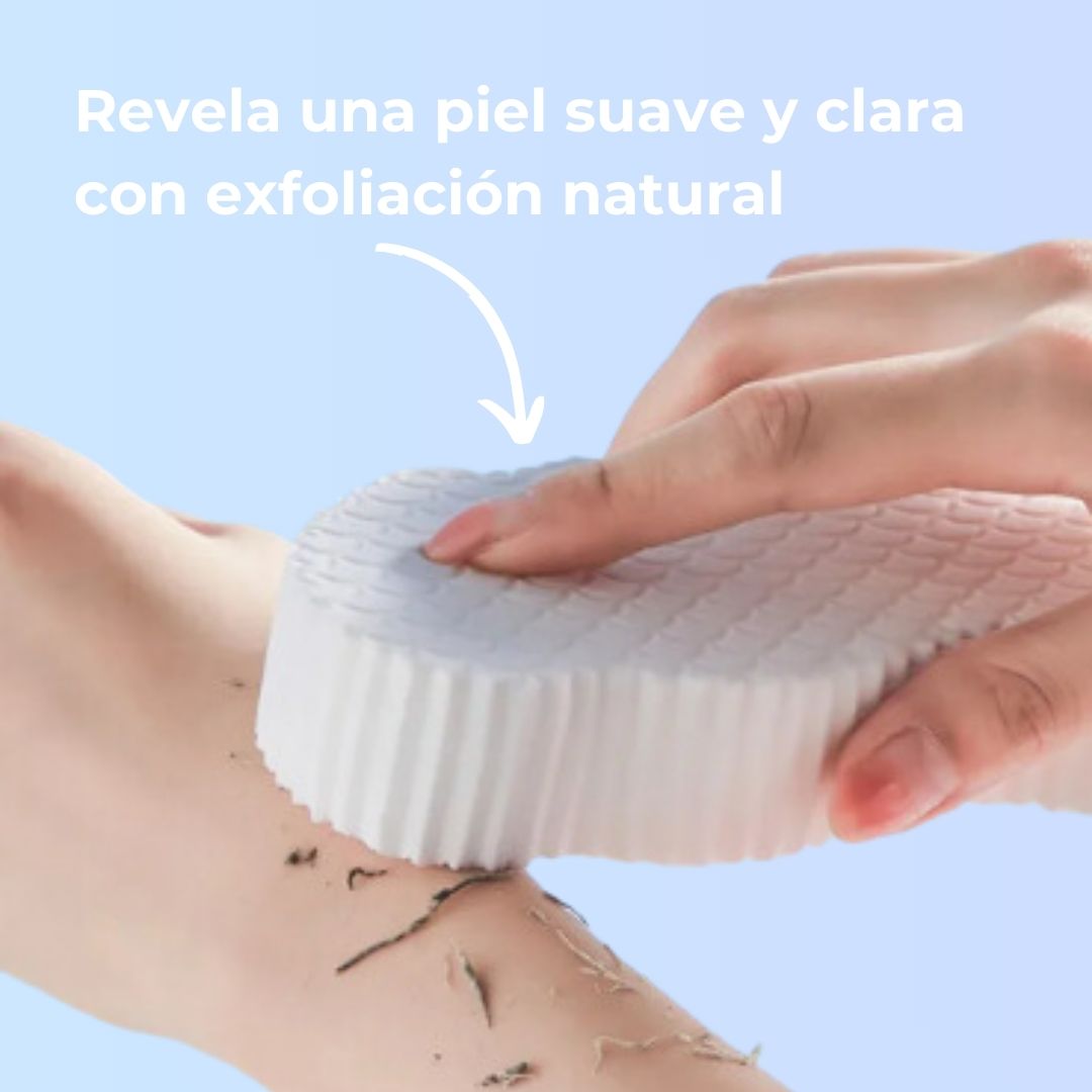 ESPONJA EXFOLIANTE