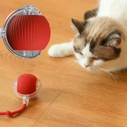 SmartBall® Bola Interactiva Recargable Gatos/Perros